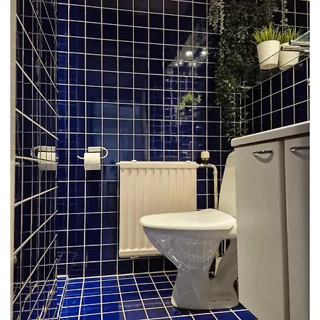 Rantatalo Onnelan Lumo 12 Hloeae- 220m2 Himos 10min Autolla Jämsä