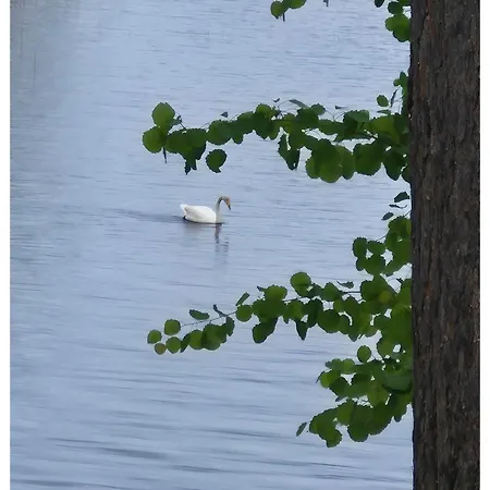 Rantatalo Onnelan Lumo 12 Hloeae- 220m2 Himos 10min Autolla بيت للعطل